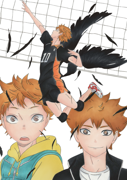 Shoyo Hinata Bild
