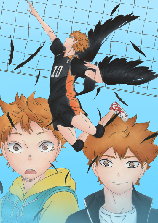 Shoyo Hinata Bild